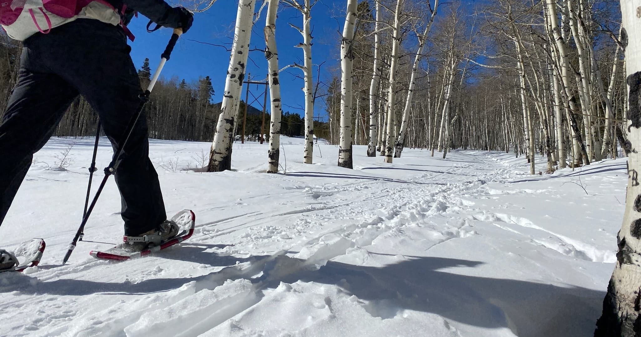 Snowshoeing