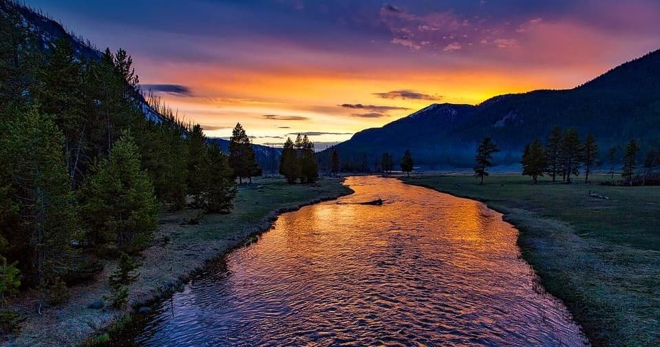 Guided Yellowstone Tour