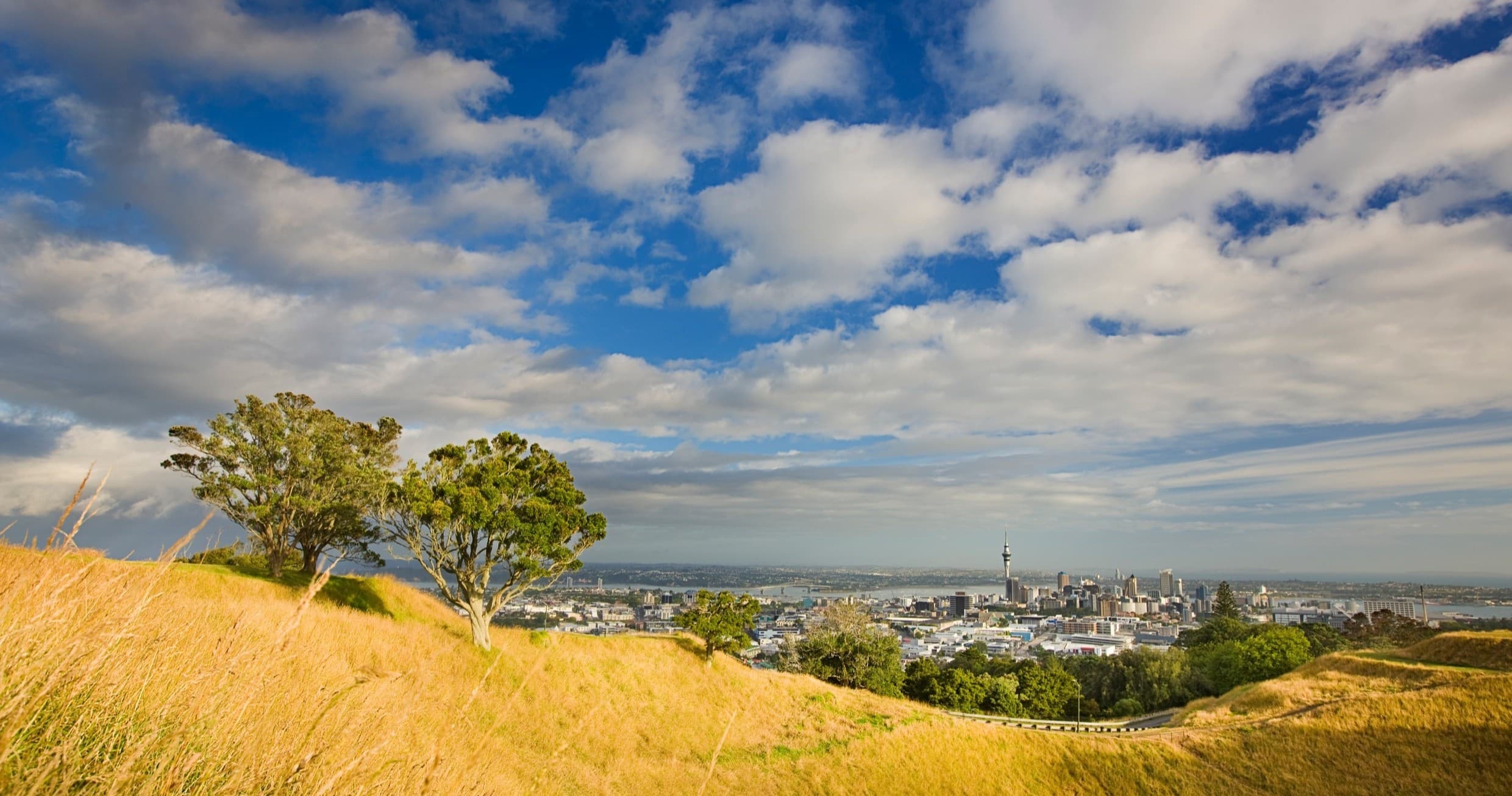 Private Auckland Volcanoes Luxury Tour