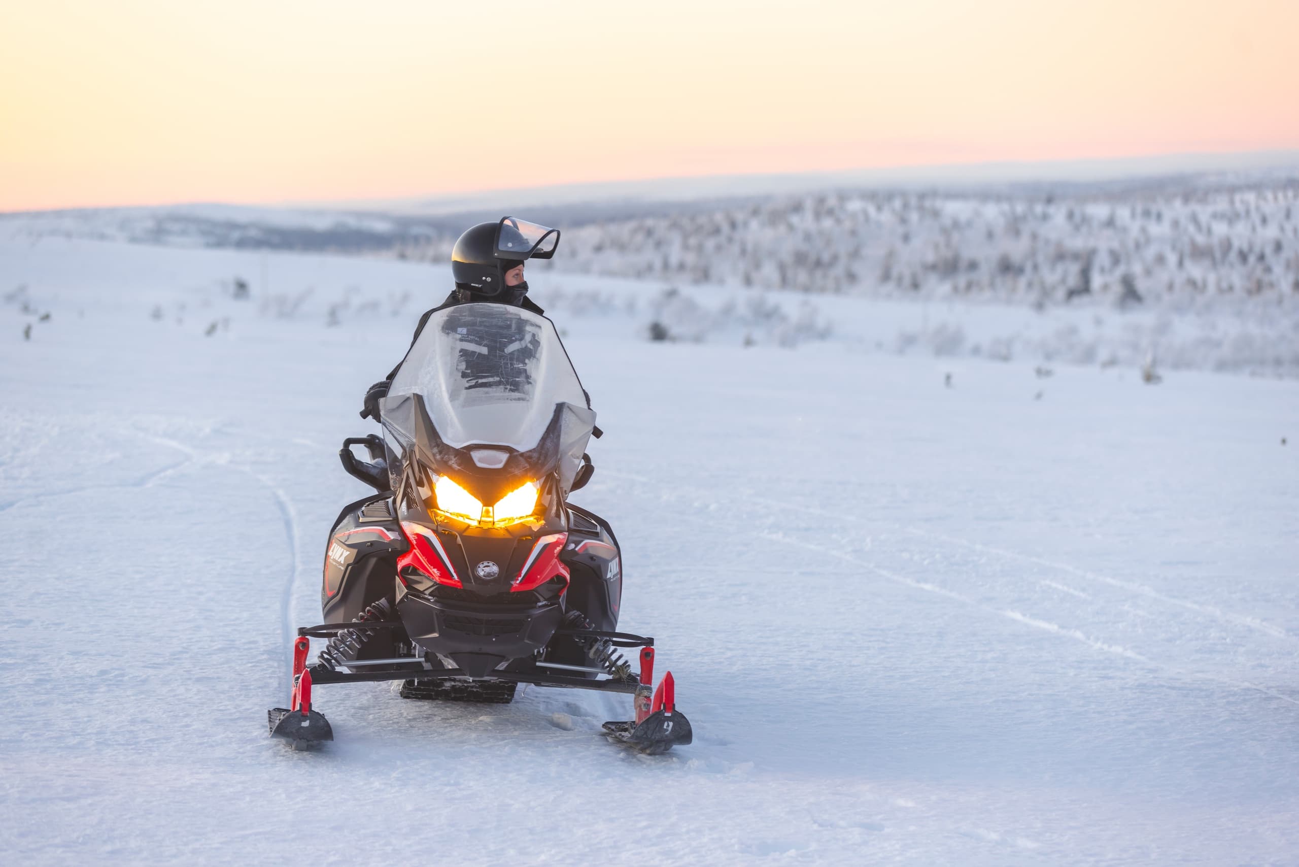 Felltop Snowmobiling (2h)