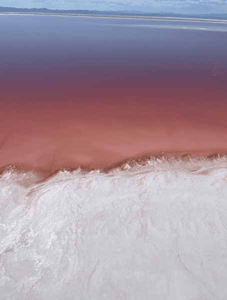 Pink Great Salt Lake Tour