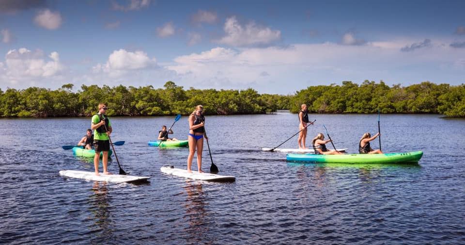 2 Hour Kayak and Paddleboard Rental at AWE Marina