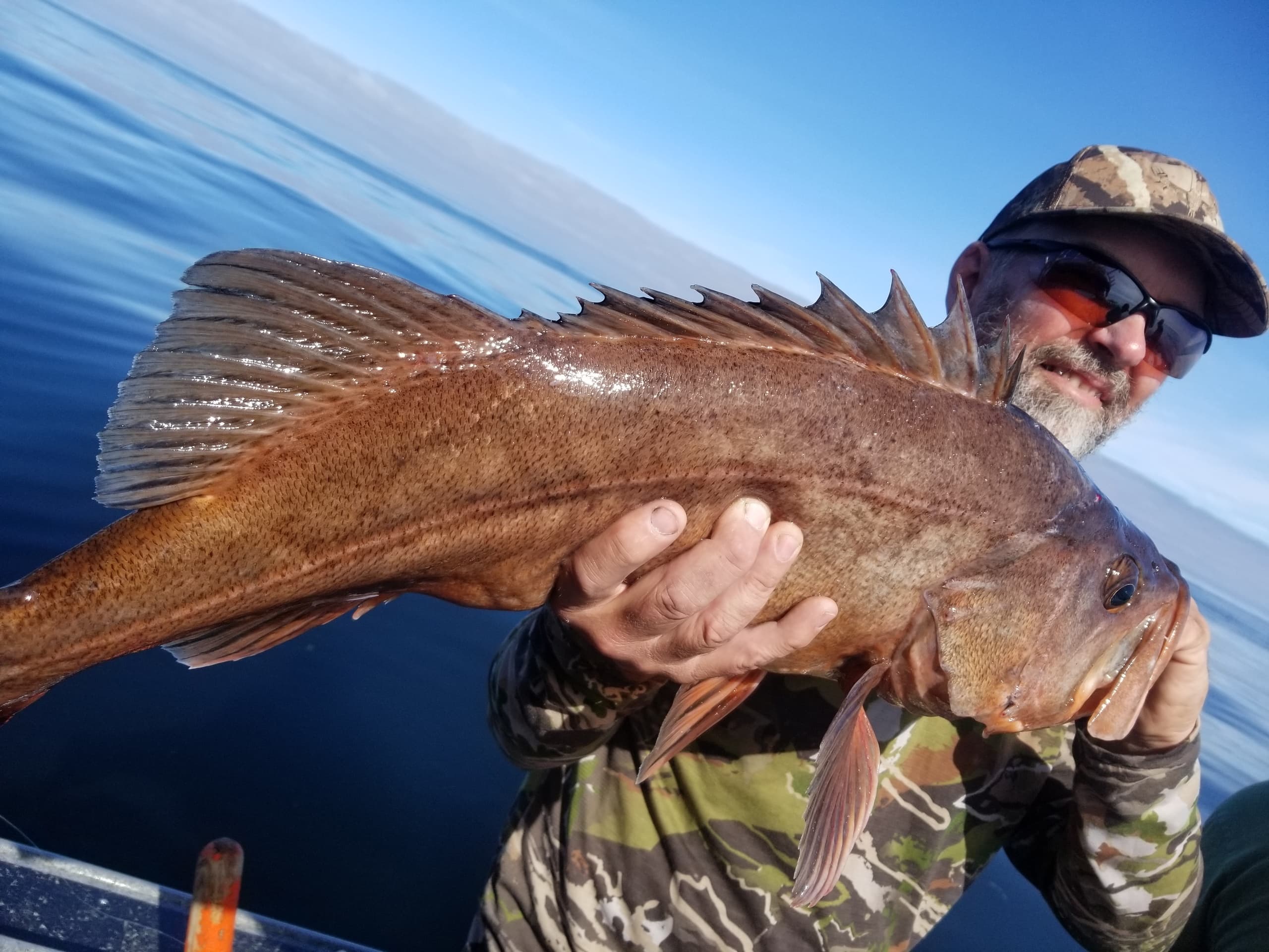 Rockfish Harvest