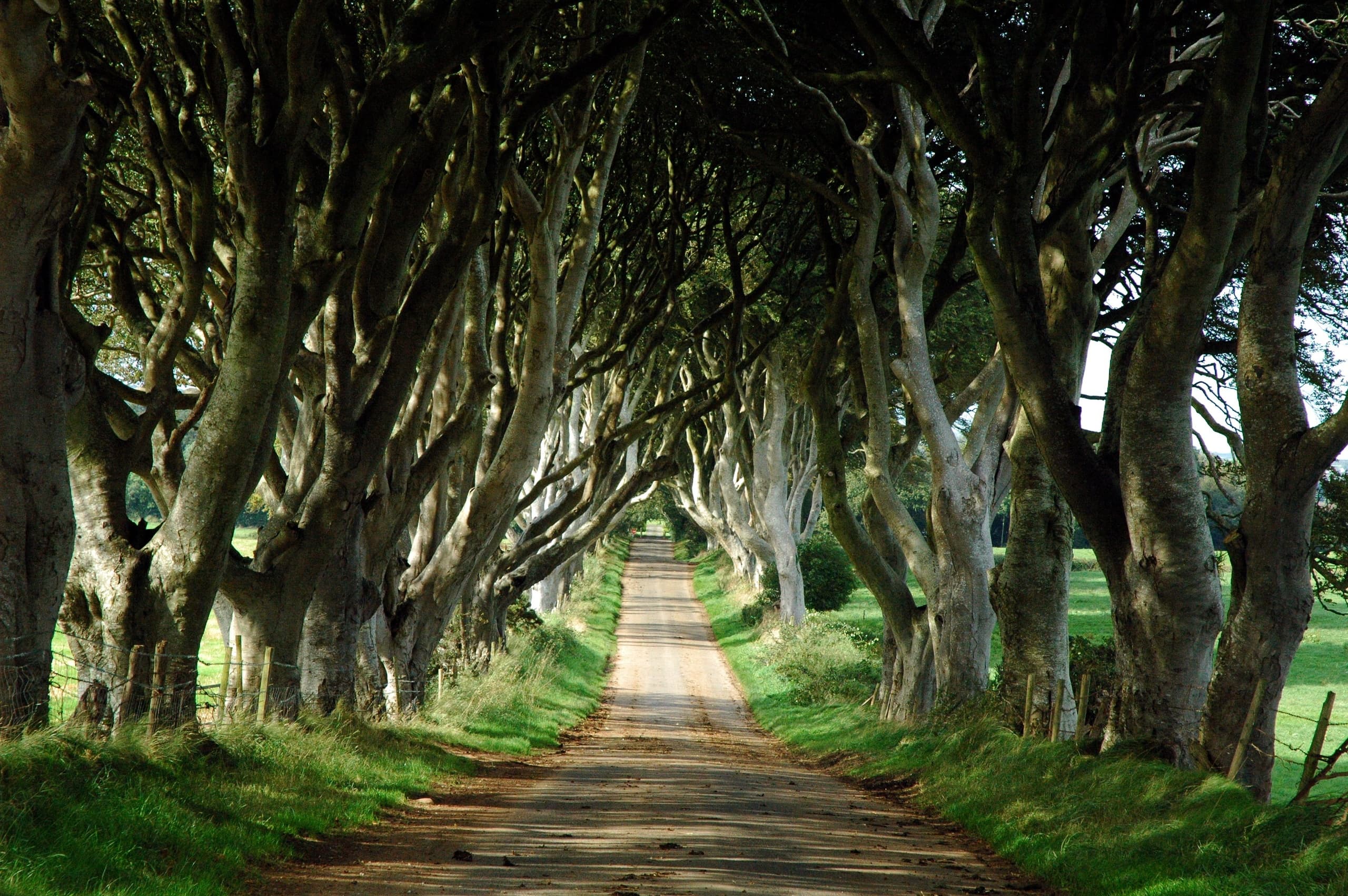 Game of Thrones Tour from Belfast with Giant's Causeway • Private
