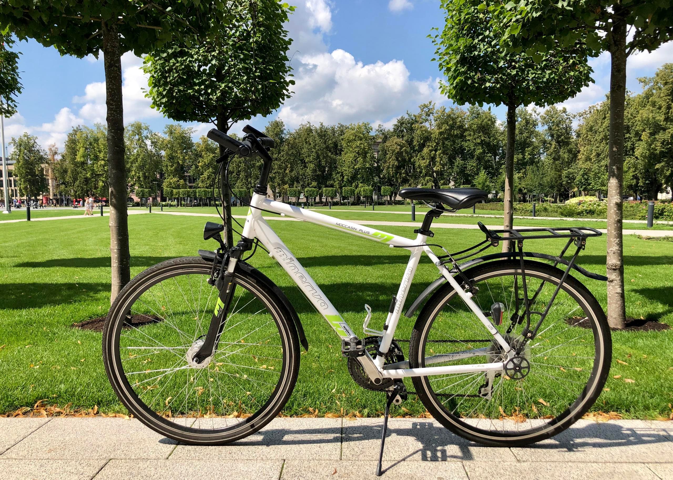 Hybrid Bike Hour Rental