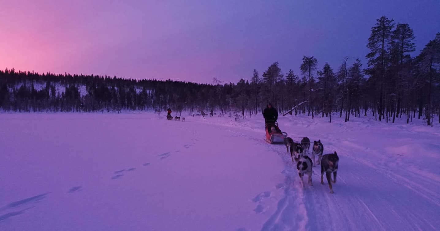 Half-Day Husky Safari