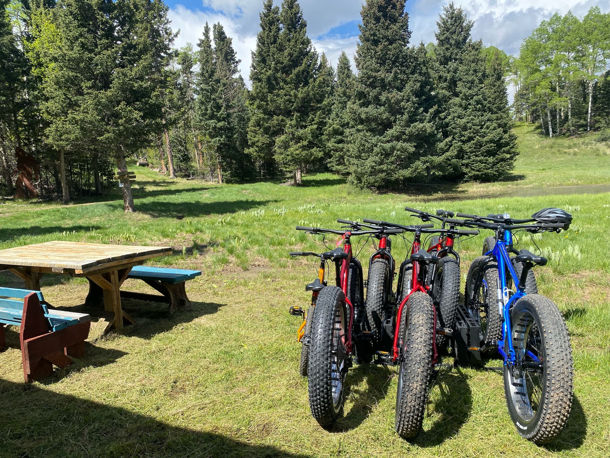 Bike Rentals