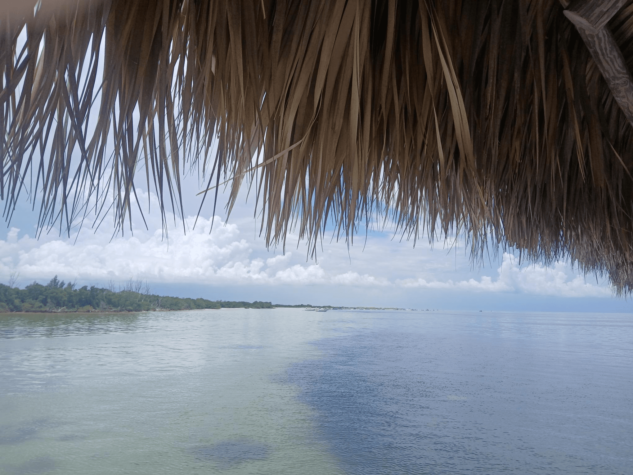 Tiki Sandbar Charter