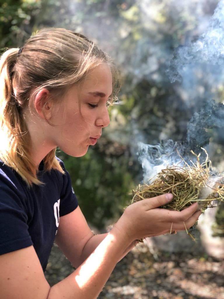 Bush Craft & Survival School