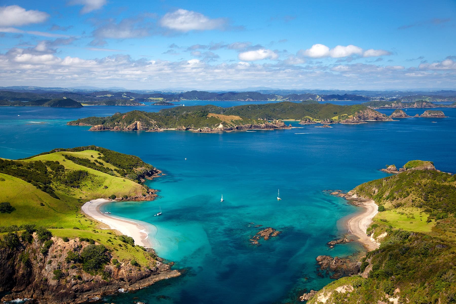One Way Bay of Islands to Auckland