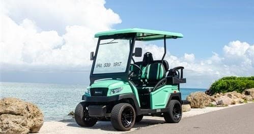 4 Passenger Premium Street-Legal