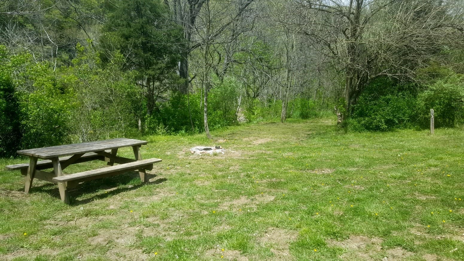 Arcadia Campground - Campsite #5  (Old Site #3)