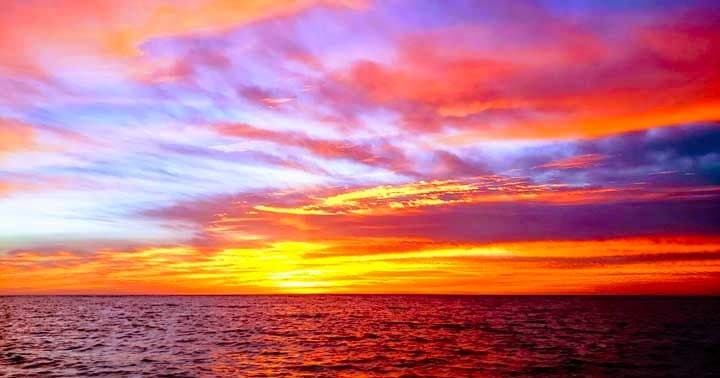Sunset Dolphin Cruise - Siesta Key