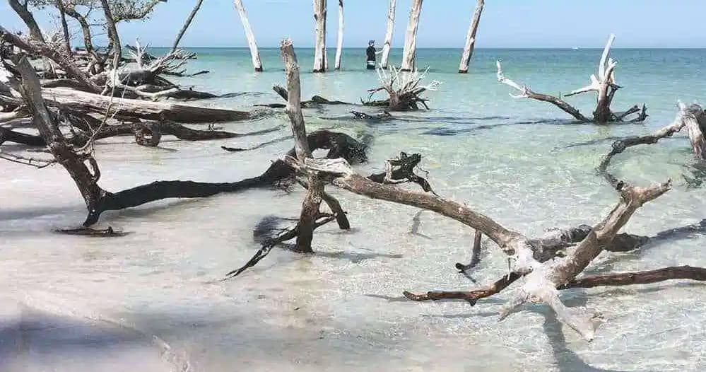 Coastal Island Kayak Tour