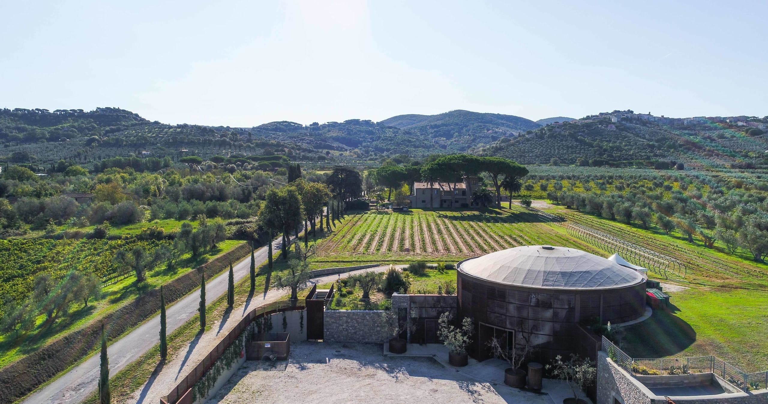 Bolgheri Wine Tour