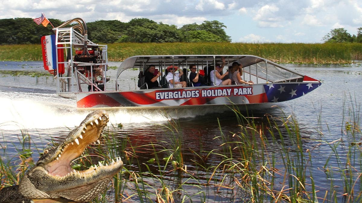 Everglades Tour