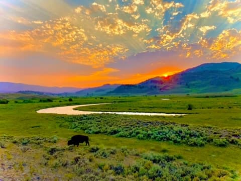 Sunrise Wildlife Tour in Yellowstone Lamar Valley and Slough Creek area