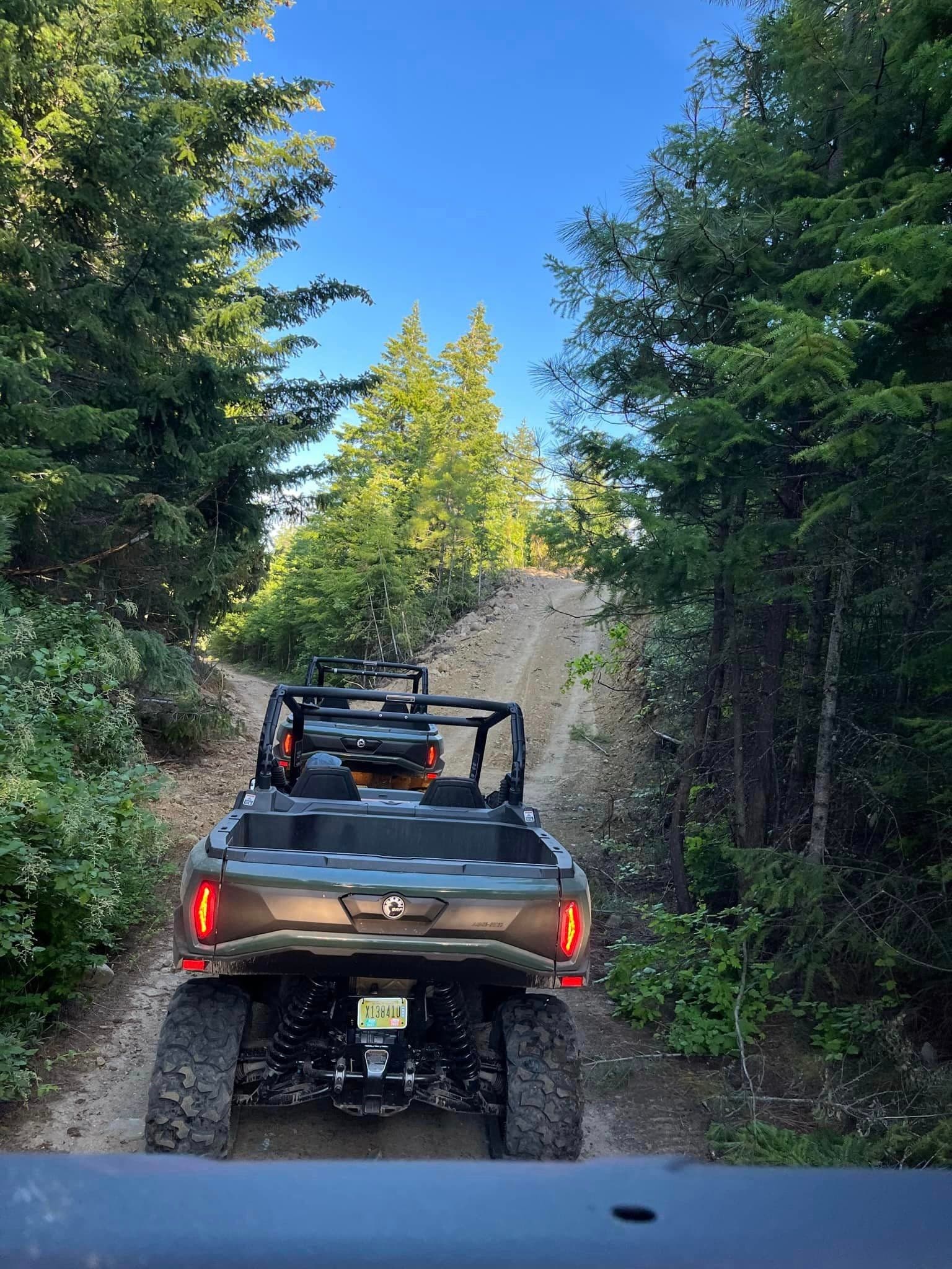 4Hr UTV Rental w/ Delivery to Trailhead