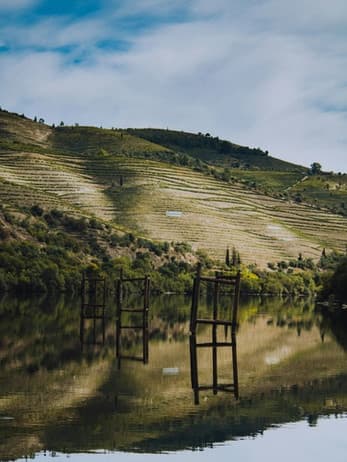 Private Tour: Douro Valley
