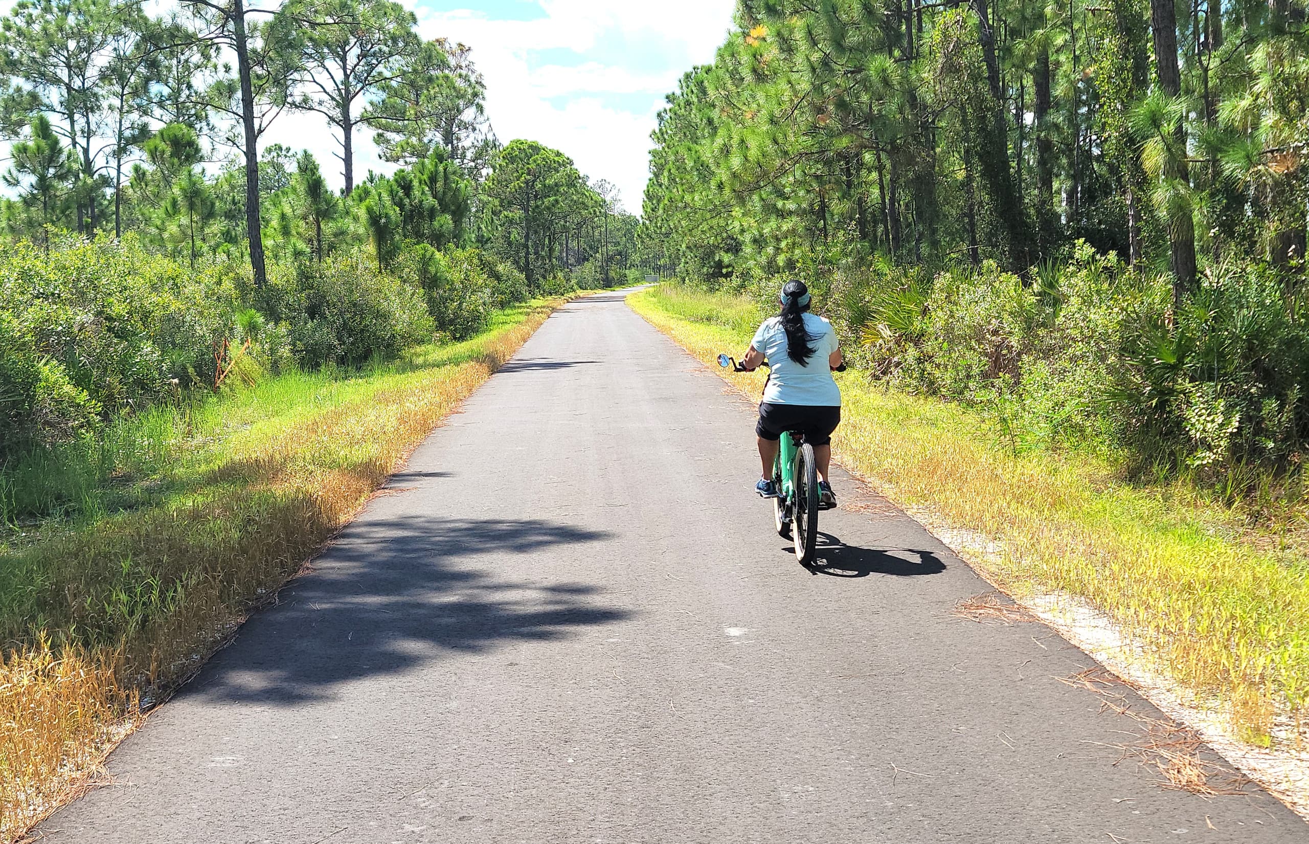 Electric Bike Rental