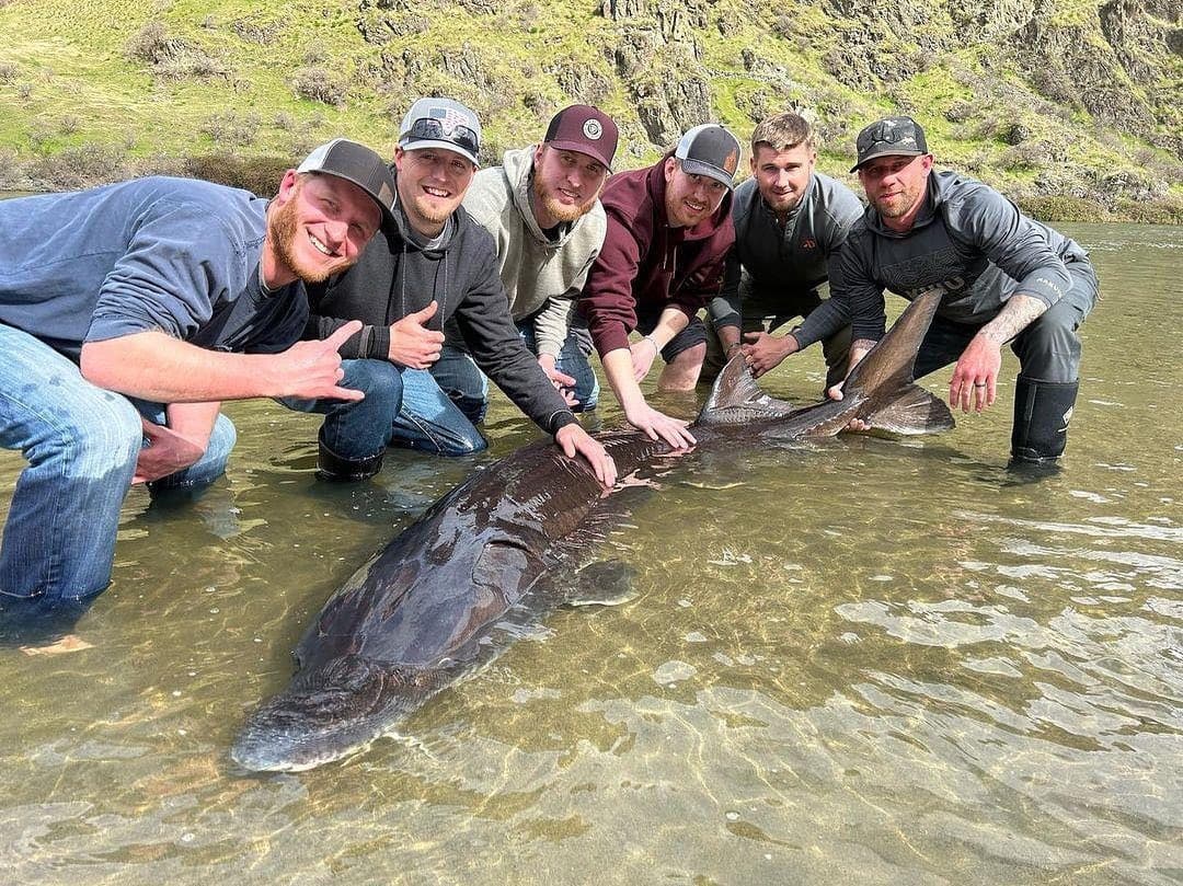Hells Canyon Fishing – Wild Up River