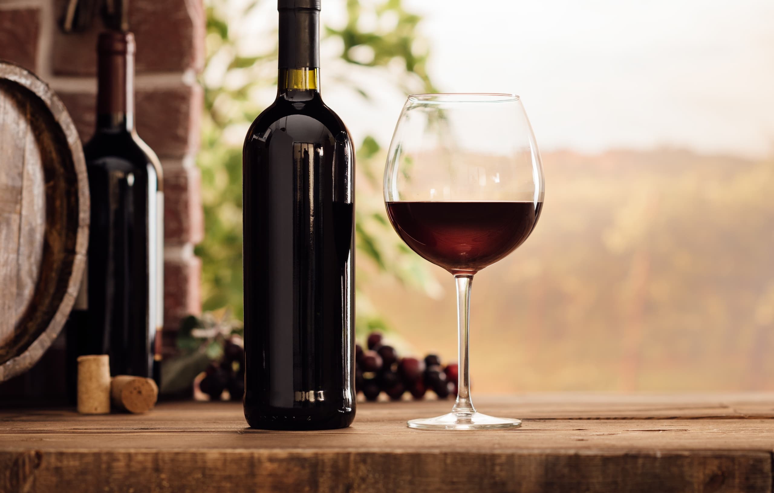 Chianti Wine Experience