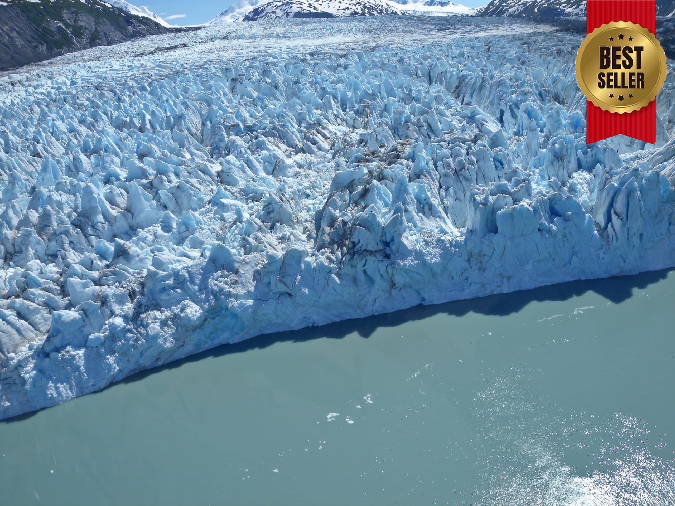 Glacier & Wildlife Discovery Tour