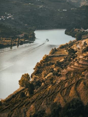 Private Transfer: From Porto To Santiago de Compostela