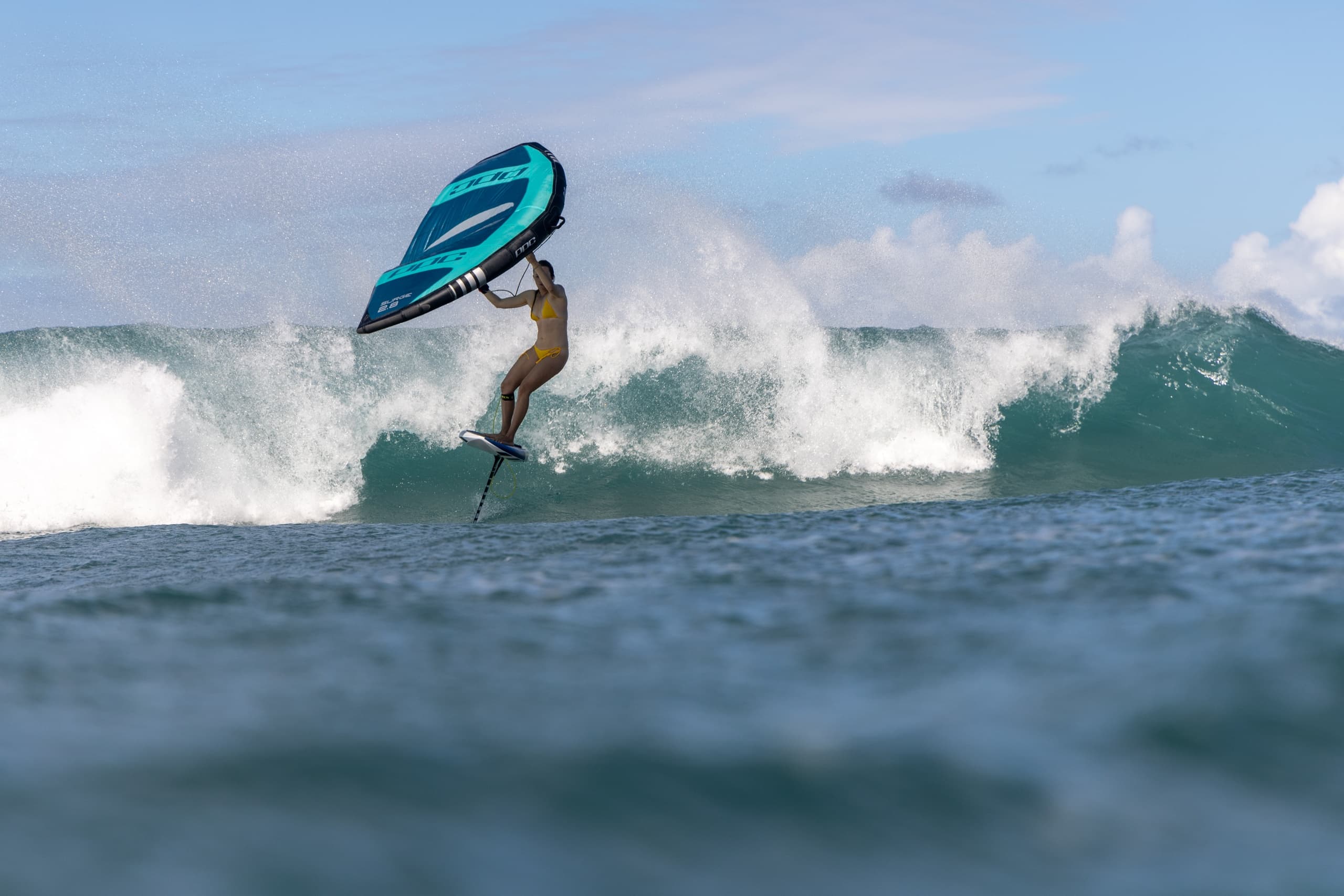 Wave Riding Lesson