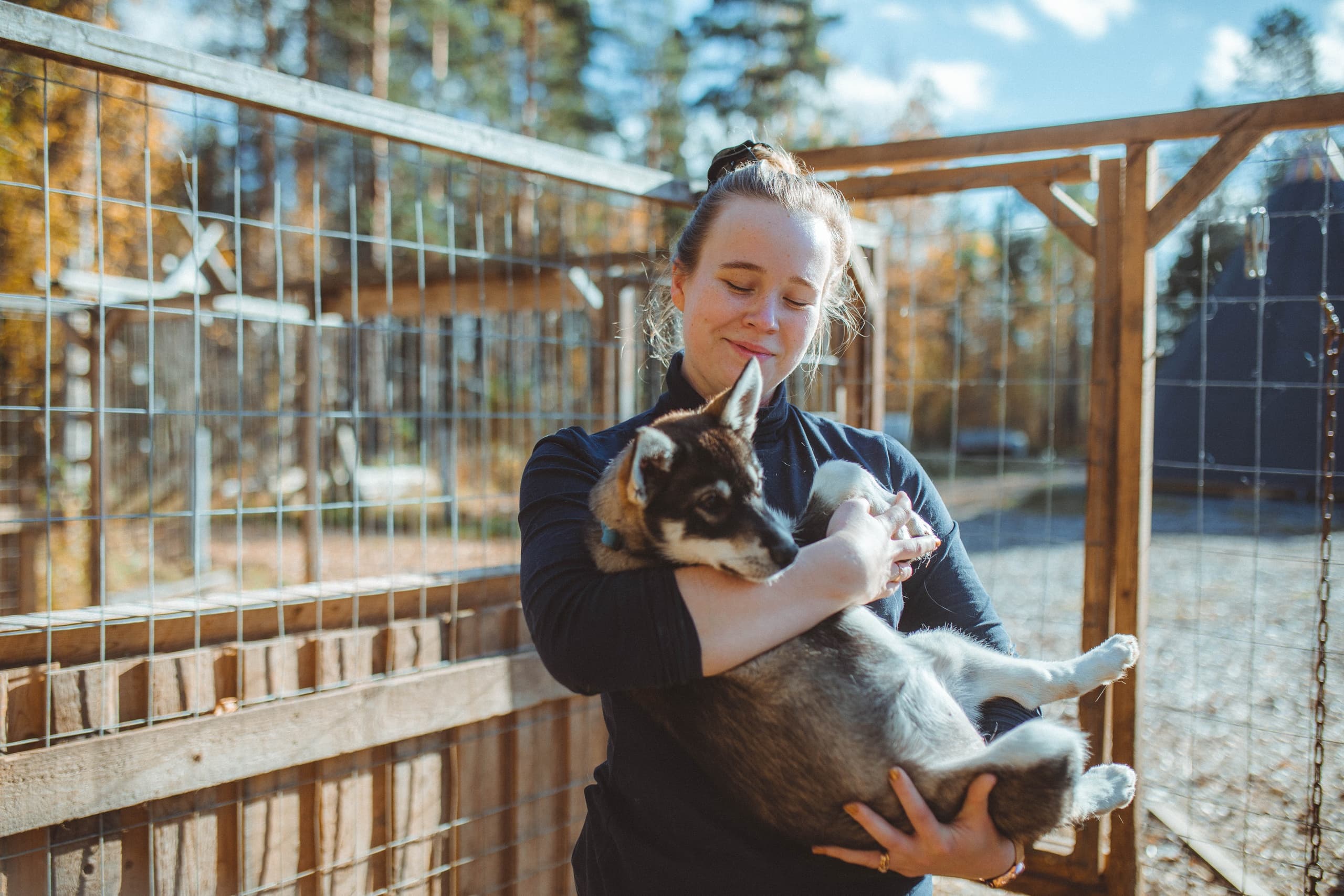 Husky Farm Visit