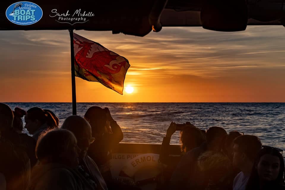 1 Hour Evening Cruise for dolphin and wildlife spotting on Ermol Boat