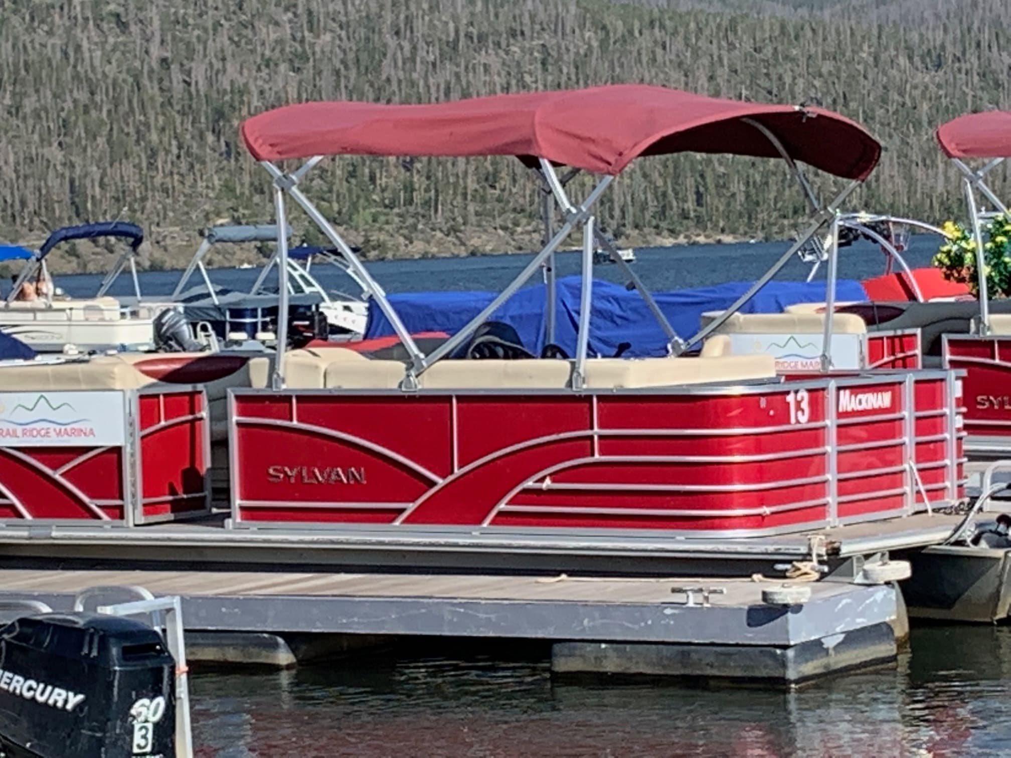 20' Pontoon (Pet Friendly)