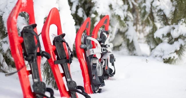 Snowshoe Rentals