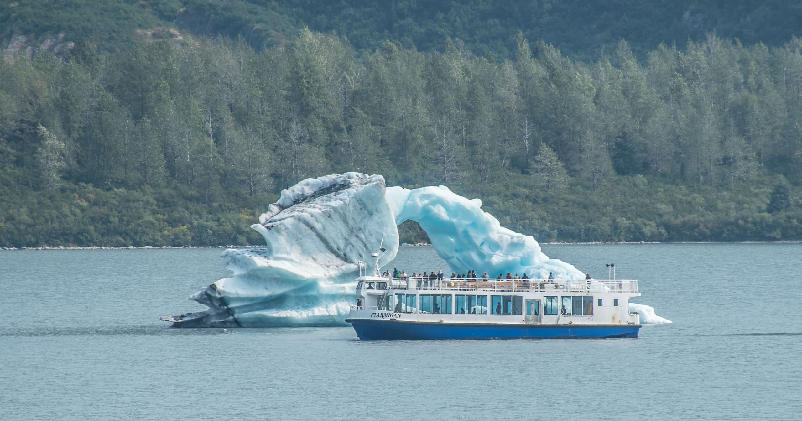 Glaciers &. Wildlife: Super-Scenic Day Tour