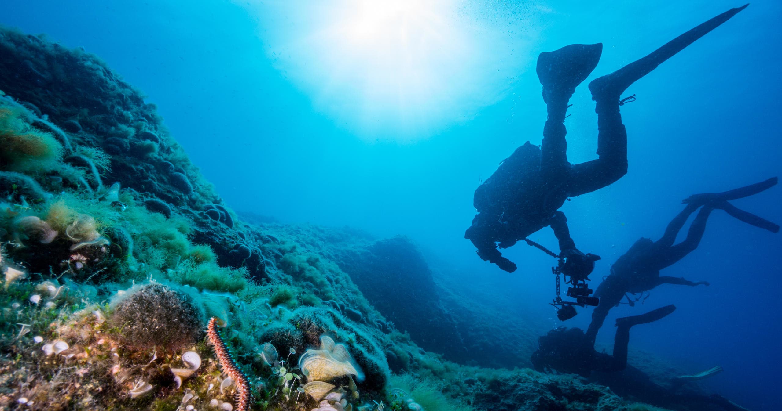 Two Days Diving