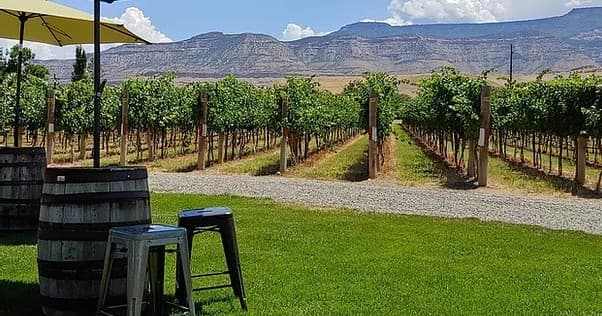 The Standard Winery Tour