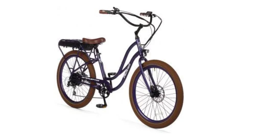 Standard E Bike Rental