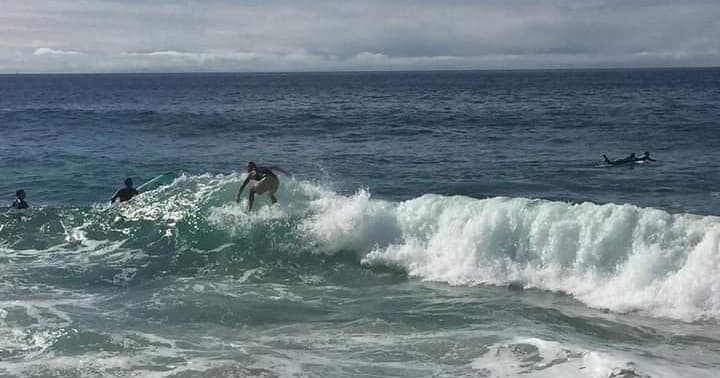 Surf Lesson