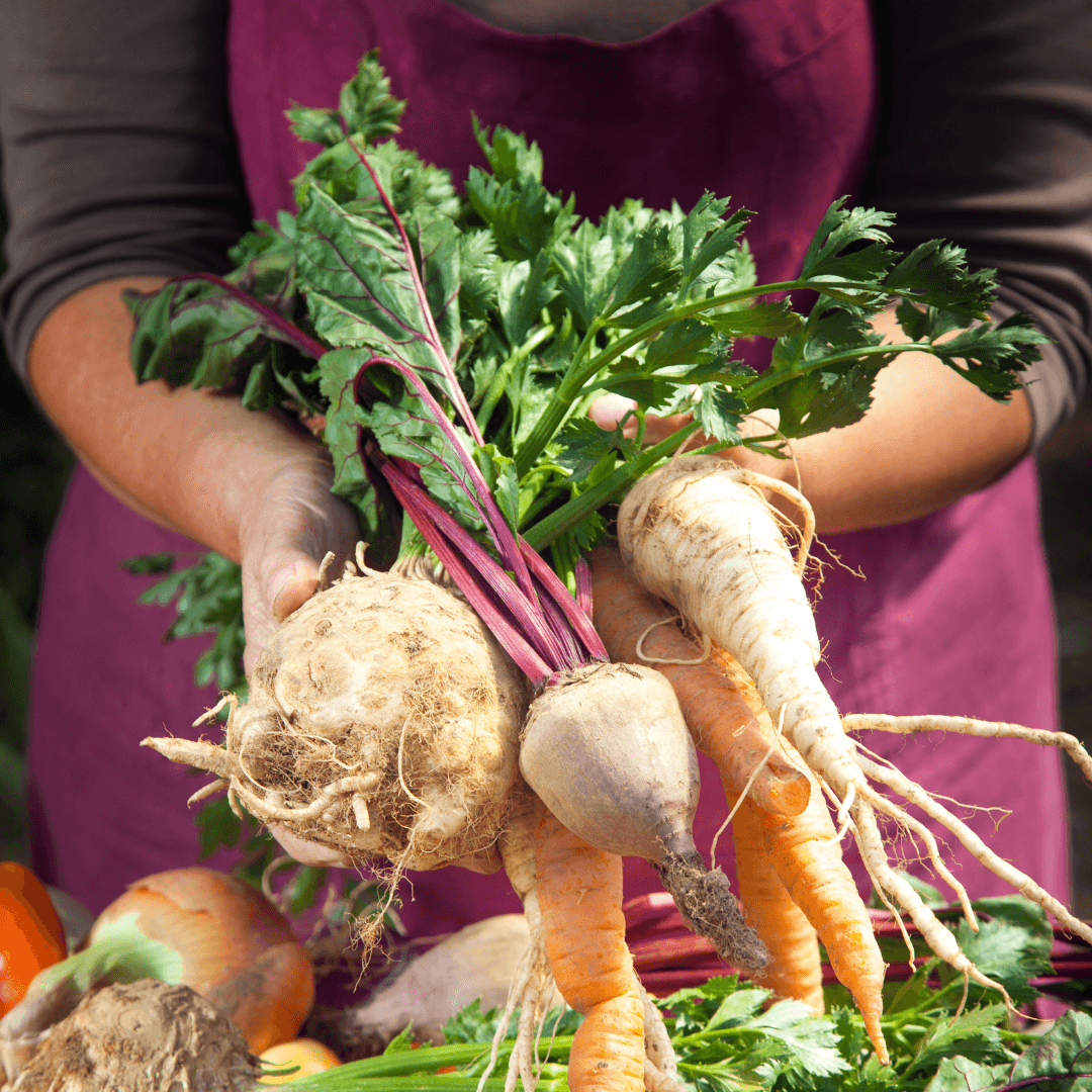 Algarve Farm-to-table Experience