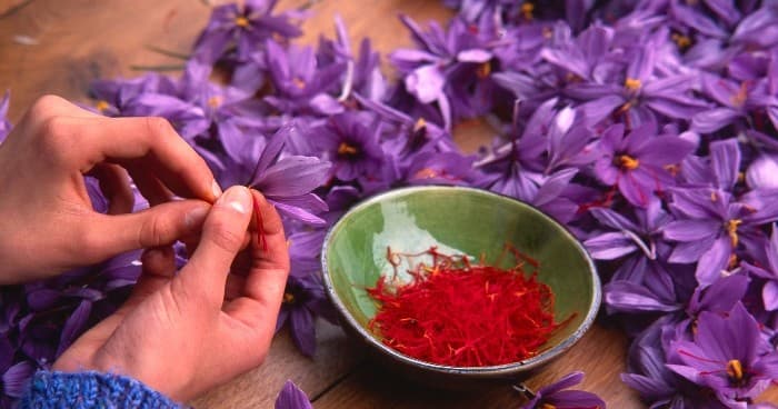 Saffron Cooking Class