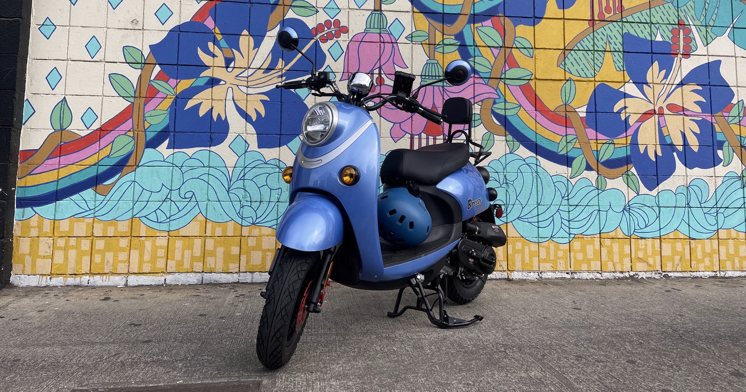 49cc Moped Rental