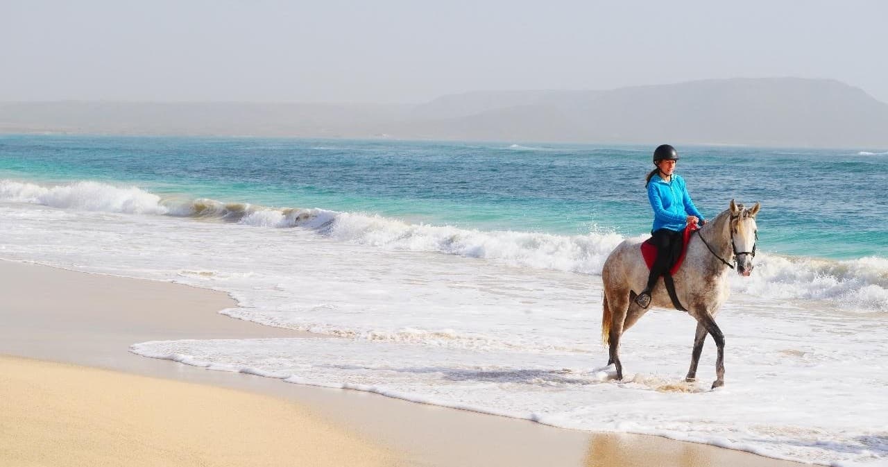 Horse Excursions Kite Beach Trail