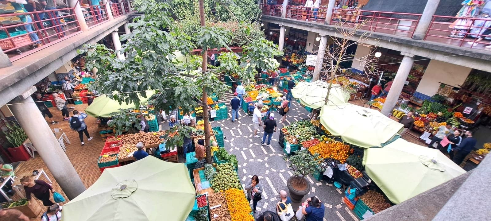 Introducing Funchal to the World - Food & Cultural Tour