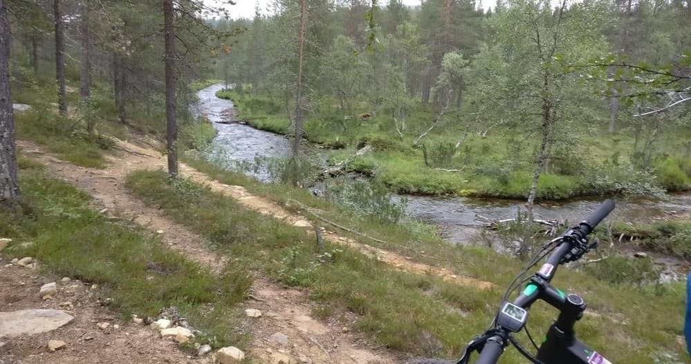[F8] Electric Fat Bike Safari (4h)