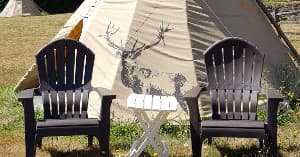 Deer Standard Teepee for 2