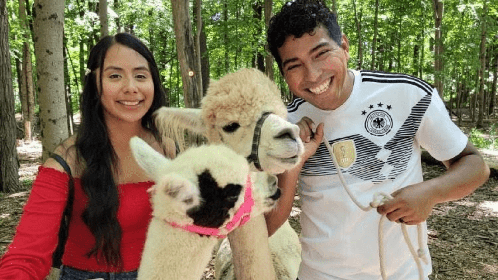 Private Alpaca - Llama Trek