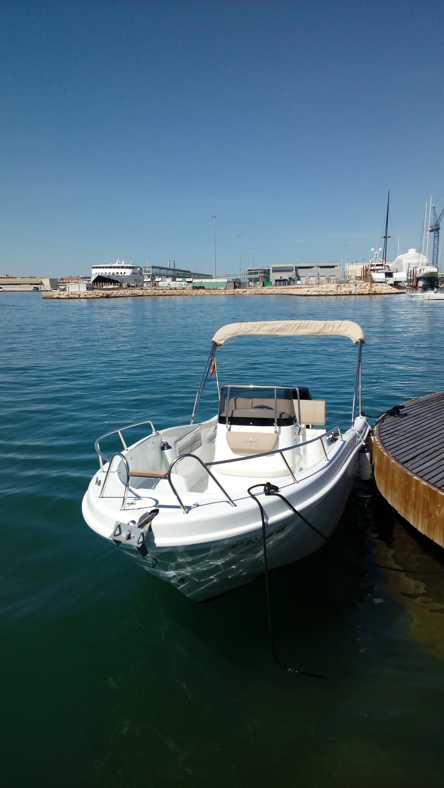 ALLEGRA21OPEN FLOPY