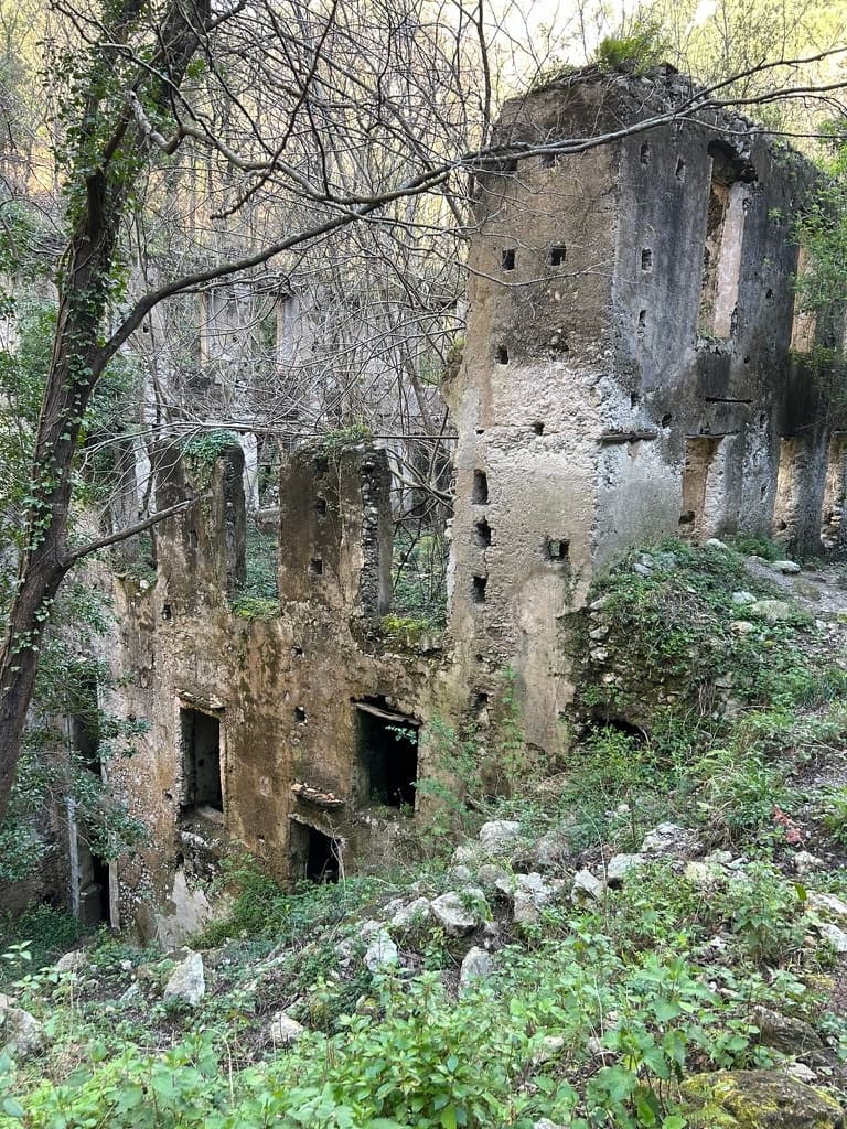 Escursione privata alla Valle delle Ferriere di Amalfi