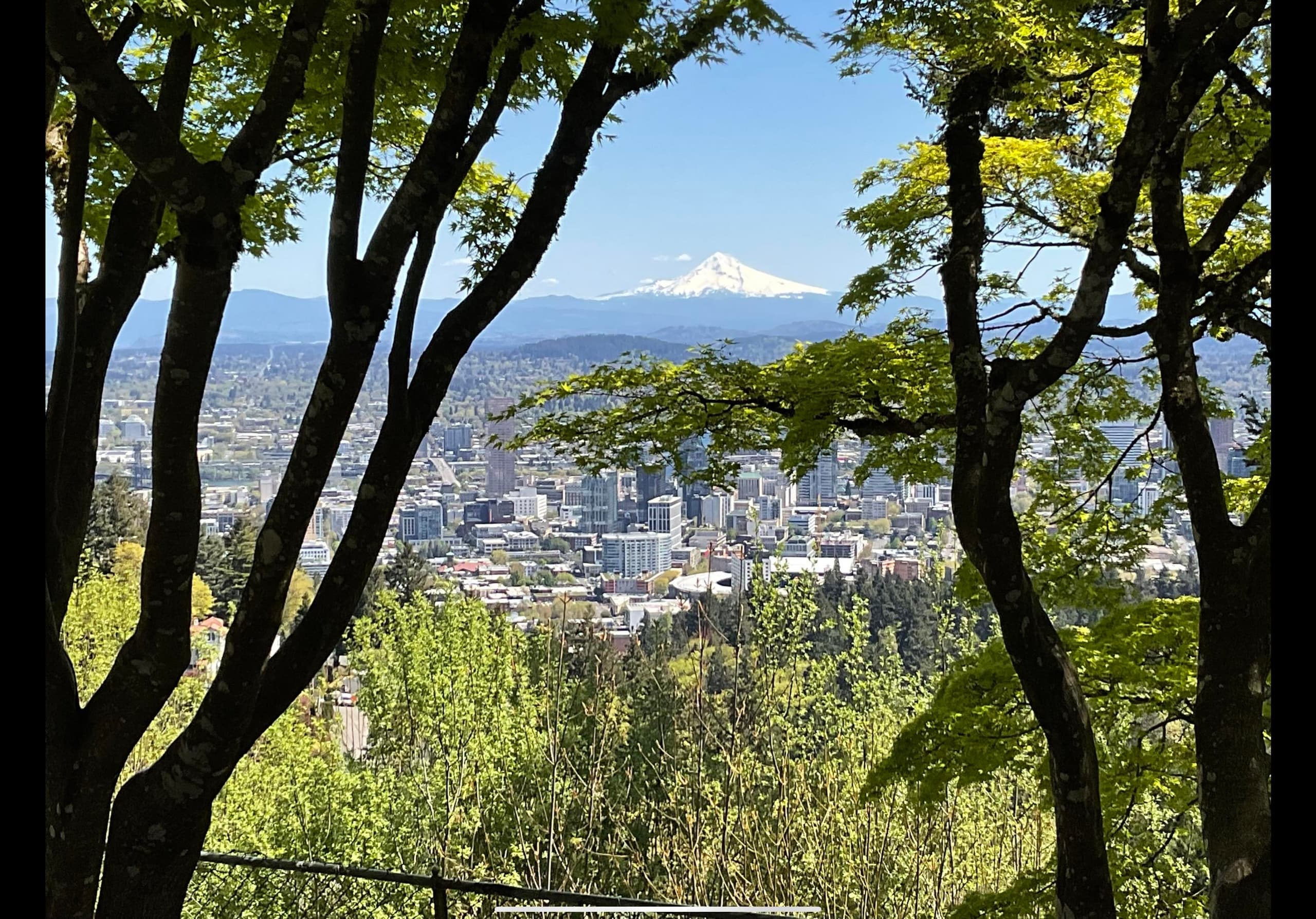 Portland City Tour: Views and News