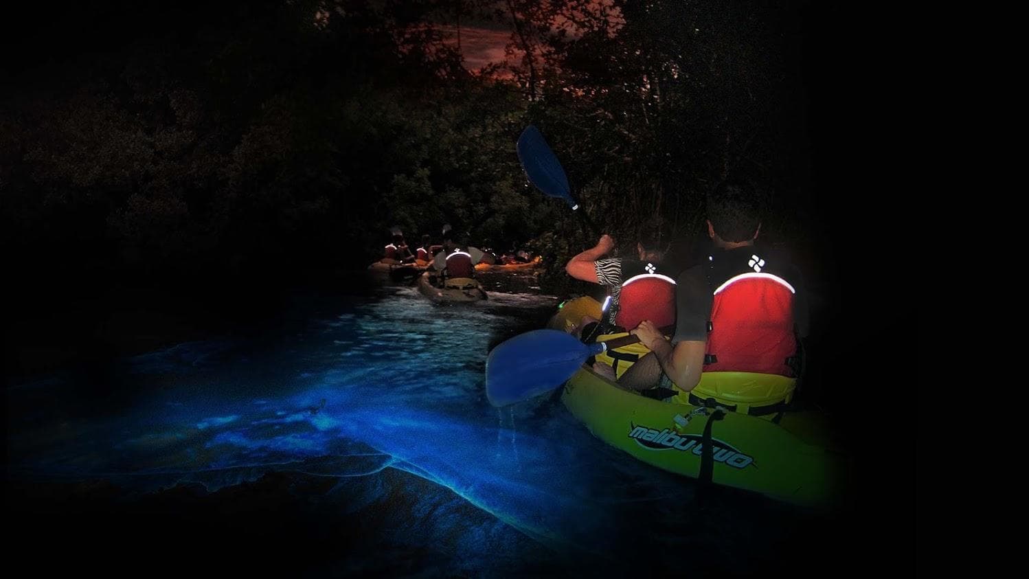El Yunque Rainforest & Bio Bay Combo Tour
